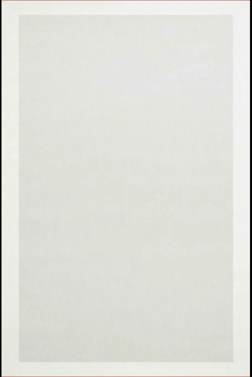 Bellino Halı Sisal Plus Koleksiyonu 1036