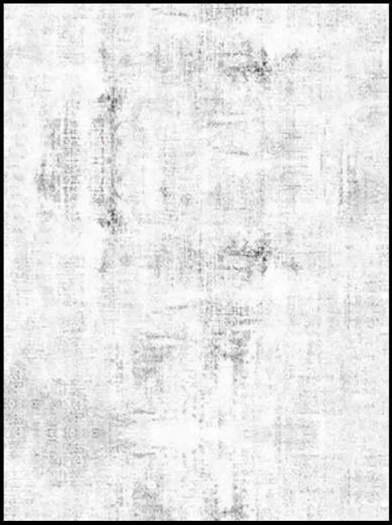 Bellino Halı Bambu Koleksiyonu 4676