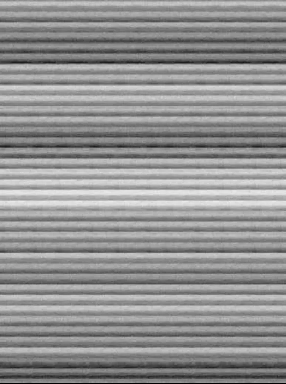 Bellino Halı Bambu Koleksiyonu 4854